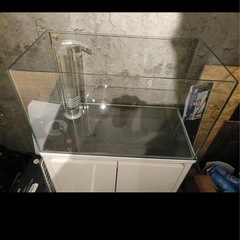 オーバーフロー水槽セット　訳ありの画像