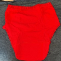 尿漏れパンツ3枚の画像
