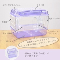 ハムスター　飼育セットの画像