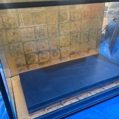 ガラス製の人形ケースの画像