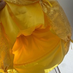 ハロウィン仮装　ベルドレスの画像