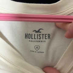 ホリスター　ミニTの画像