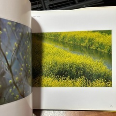 　四季彩　写真集の画像