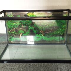 △ ① GEX 水槽 プラスチック製＆ワンタッチフィルター、鑑賞魚用ろ過器セット 幅 60cm 貯水確認済 全体的にキズ、汚れあり 現状渡しの画像