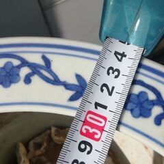 火鉢　めだか　メダカ　ガーデニングの画像