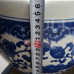 火鉢　めだか　メダカ　ガーデニングの画像