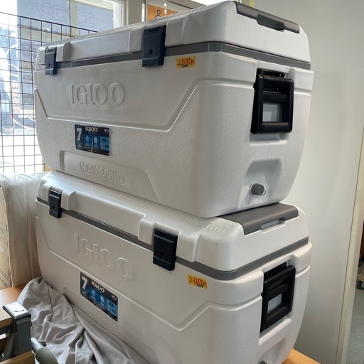未使用品‼️【在庫1点】【イグロー/IGLOO】【クーラーボックス 156L/165QT】【管理番号13010】町