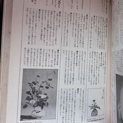 作例、文献付 いけばな花材総事典 講談社 昭和49年の画像