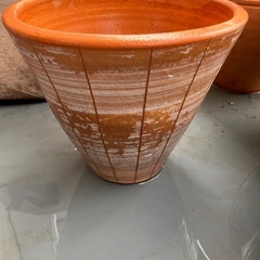 鉢の画像