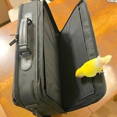 Large DELL Laptop Briefcase Bag - Shoulder Carrying Case.の画像