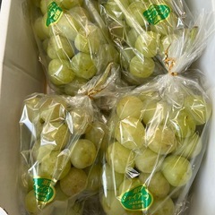 みかん1箱１０キロの画像