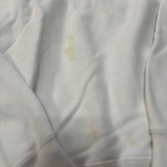 チャンピオン　トレーナー　Lの画像