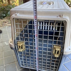 無料❗️ペットキャリーの画像