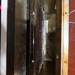 シロカ　コンベクションオーブンとーすたトースターの画像