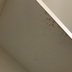 【ジャングルジャングル深井店】★ニトリ 2枚扉 食器棚 収納家具  家具 簡易クリーニング済 堺市（中区 堺区 東区 西区 南区 北区）和泉市 河内長野市 富田林市 松原市 狭山市 深井 【FU2849】の画像