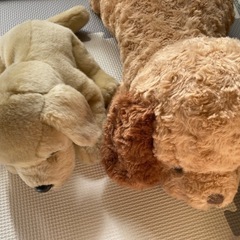 ぬいぐるみ色々の画像