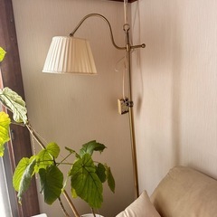 フロアランプ　の画像