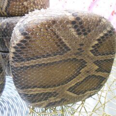 ★★限定現品販売11.000円　蛇皮強化(二重張)型チーガ　７個から自由選択　単品価格表示の画像