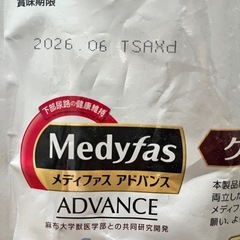 子猫のエサ(取引中)の画像