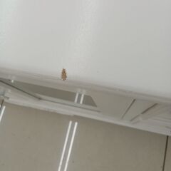 ★リユースのサカイ日立店★HJ8160  TV台 ホワイト H56.5×D40×W120 クリーニング済み の画像