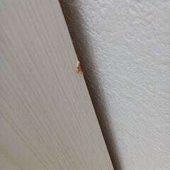 ★リユースのサカイ日立店★HJ8161  シューズBOX ライトベージュ H185.5×D35×W50.5 クリーニング済み の画像