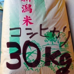 ❶【令和7年】新米❶コシヒカリの中米　玄米30kg を精米してお渡しします⭐︎複数購入も可能✴︎✴︎✴︎玄米でのお渡しも可能 ✴︎✴︎✴︎✴︎✴︎✴︎ の画像