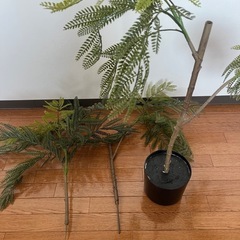 ジャカランダ170cm【フェイクグリーン】の画像