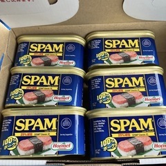 ホーメル スパム ポークランチョンミート レスソルト Classic比25%減塩 198g 賞味期限2026.06.23 6個セットの画像