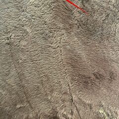 ボンビアルコン キャットウォーク 突っ張り式 猫用 キャットタワー ハンモック付の画像