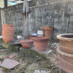 お話し中 植木鉢の画像