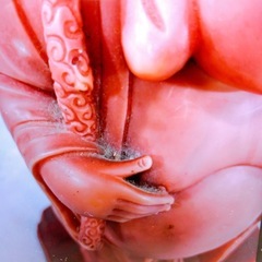 七福神布袋様 布袋尊 布袋さん 置物 インテリア 金運 家庭円満 商売繁盛 高さ30cmの画像