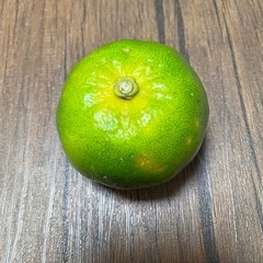 みかん 14個 ミカンの画像