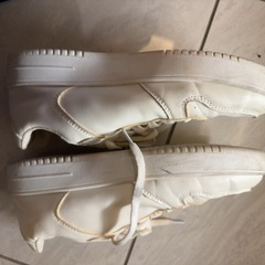 24.5㎝　白　スニーカーの画像