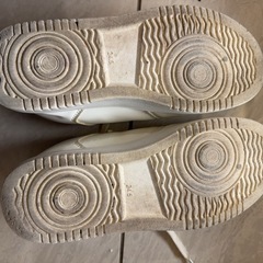 24.5㎝　白　スニーカーの画像