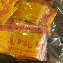 1袋100個入 からしカラシの画像