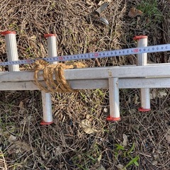 アルミ製 枝打ち梯子約200cm 3本の画像