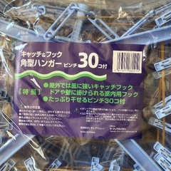 10/30、31限定！洗濯ハンガー×3個 お譲りしますの画像