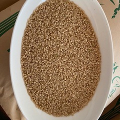 令和7年産　新米ヒノヒカリ玄米30キロの画像