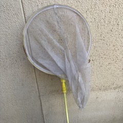 虫取りあみの画像