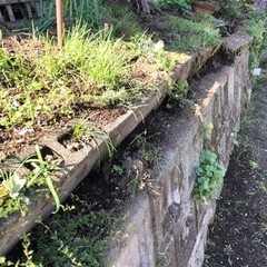 ブロックと植木鉢の画像