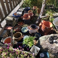 ブロックと植木鉢の画像