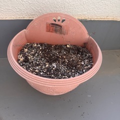  【あげます】植木鉢の画像