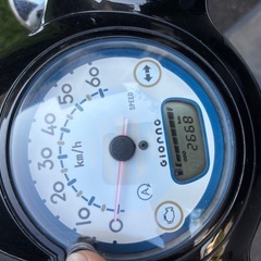 低走行ジョルノくまモンバージョンの画像