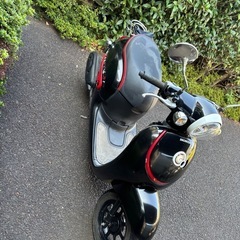 低走行ジョルノくまモンバージョンの画像