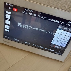 ジャンク品Panasonic プライベート・
ビエラ UN-10T5-Wジャンク品 の画像