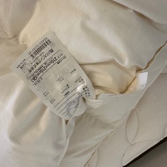 西川 クイーン 羽毛布団の画像