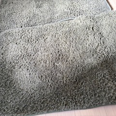 ラグマット　2枚セット　グリーンの画像