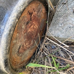 無料❗️火鉢青系の画像