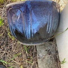 無料❗️火鉢青系の画像