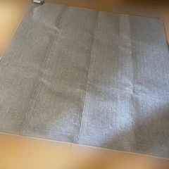 新品未使用【ダニ退治機能付のホットカーペット2畳】 の画像